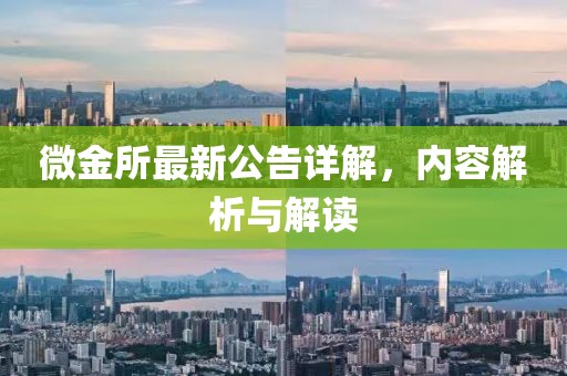 微金所最新公告詳解，內(nèi)容解析與解讀