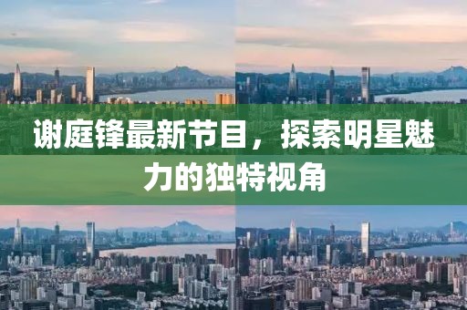 謝庭鋒最新節(jié)目，探索明星魅力的獨特視角