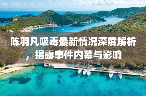 陳羽凡吸毒最新情況深度解析，揭露事件內(nèi)幕與影響