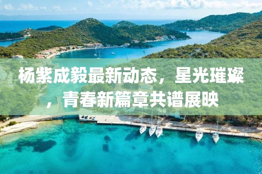 楊紫成毅最新動(dòng)態(tài)，星光璀璨，青春新篇章共譜展映