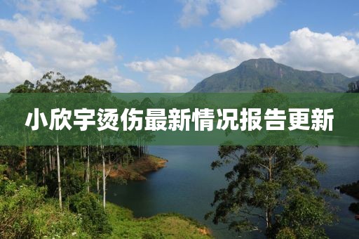 小欣宇燙傷最新情況報告更新