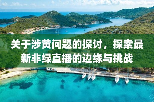 關(guān)于涉黃問題的探討，探索最新非綠直播的邊緣與挑戰(zhàn)