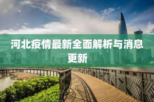 河北疫情最新全面解析與消息更新