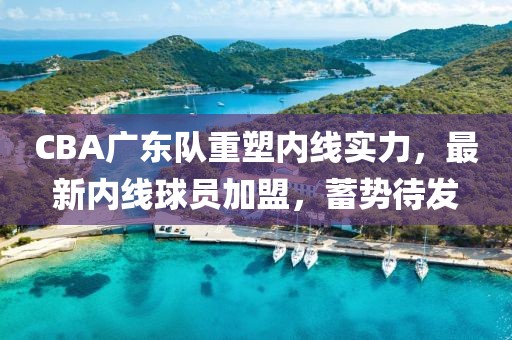 CBA廣東隊重塑內(nèi)線實力，最新內(nèi)線球員加盟，蓄勢待發(fā)