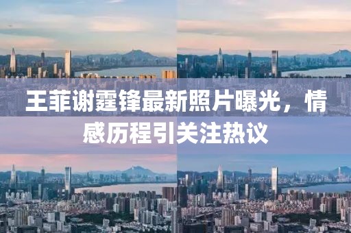 王菲謝霆鋒最新照片曝光，情感歷程引關注熱議