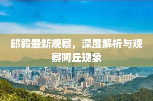 邱毅最新觀察，深度解析與觀察阿丘現(xiàn)象