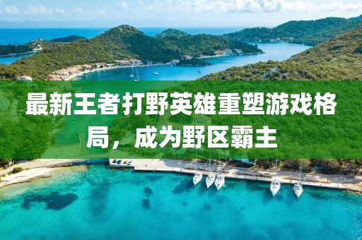 最新王者打野英雄重塑游戲格局，成為野區(qū)霸主