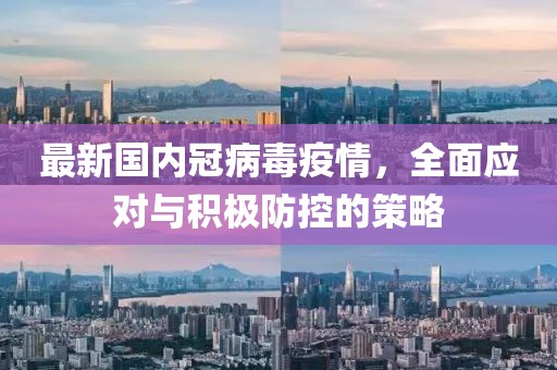最新國(guó)內(nèi)冠病毒疫情，全面應(yīng)對(duì)與積極防控的策略