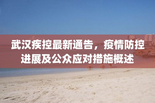 武漢疾控最新通告，疫情防控進(jìn)展及公眾應(yīng)對(duì)措施概述