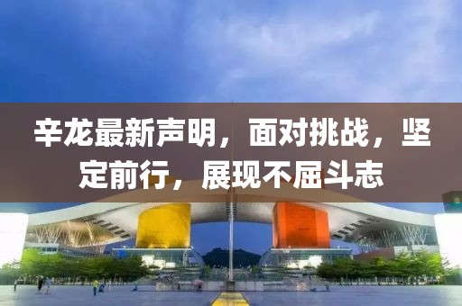 辛龍最新聲明，面對挑戰(zhàn)，堅定前行，展現(xiàn)不屈斗志