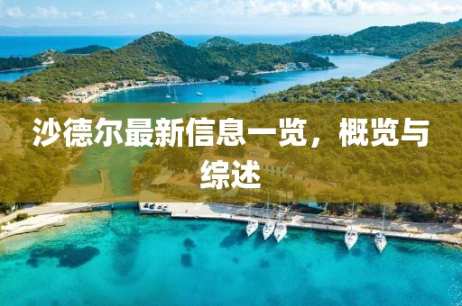 沙德爾最新信息一覽，概覽與綜述