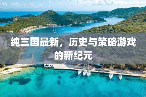 純?nèi)龂?guó)最新，歷史與策略游戲的新紀(jì)元