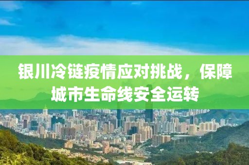 銀川冷鏈疫情應(yīng)對(duì)挑戰(zhàn)，保障城市生命線安全運(yùn)轉(zhuǎn)