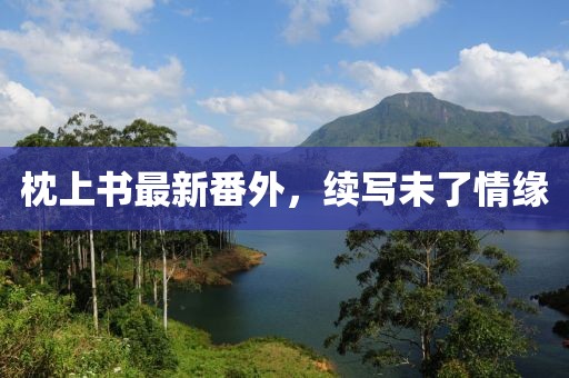 枕上書最新番外，續(xù)寫未了情緣