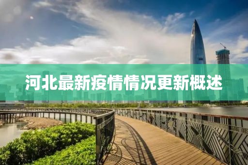 河北最新疫情情況更新概述