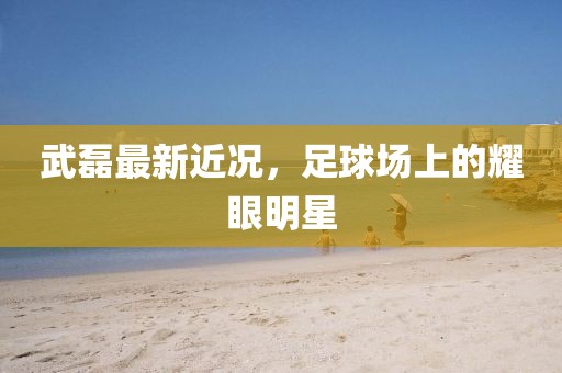 武磊最新近況，足球場(chǎng)上的耀眼明星