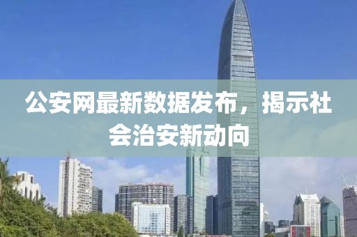 公安網(wǎng)最新數(shù)據(jù)發(fā)布，揭示社會(huì)治安新動(dòng)向
