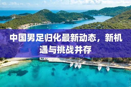 中國男足歸化最新動態(tài)，新機(jī)遇與挑戰(zhàn)并存