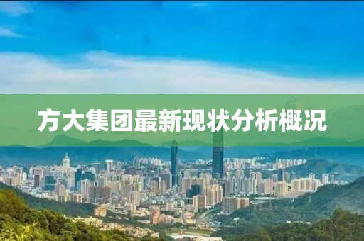 方大集團(tuán)最新現(xiàn)狀分析概況