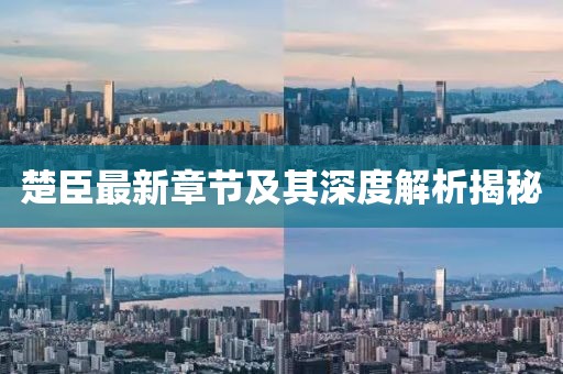 楚臣最新章節(jié)及其深度解析揭秘