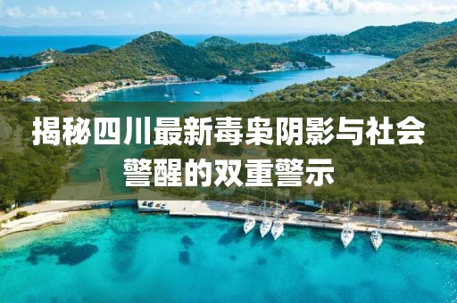 揭秘四川最新毒梟陰影與社會(huì)警醒的雙重警示