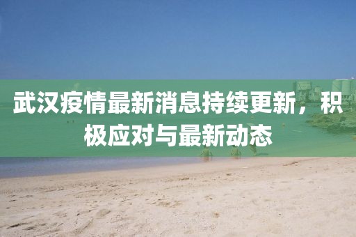 武漢疫情最新消息持續(xù)更新，積極應對與最新動態(tài)