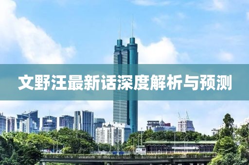 文野汪最新話深度解析與預(yù)測