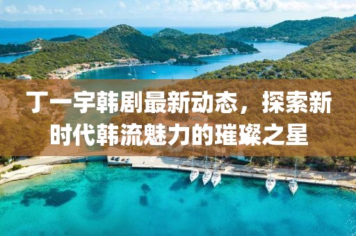 丁一宇韓劇最新動(dòng)態(tài)，探索新時(shí)代韓流魅力的璀璨之星