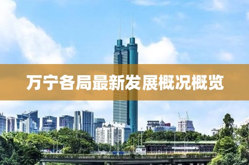 萬寧各局最新發(fā)展概況概覽