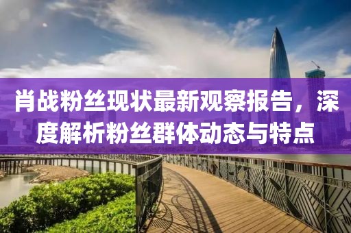 肖戰(zhàn)粉絲現(xiàn)狀最新觀察報(bào)告，深度解析粉絲群體動(dòng)態(tài)與特點(diǎn)