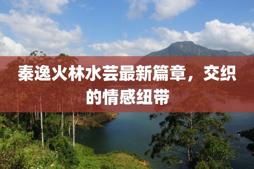 秦逸火林水蕓最新篇章，交織的情感紐帶