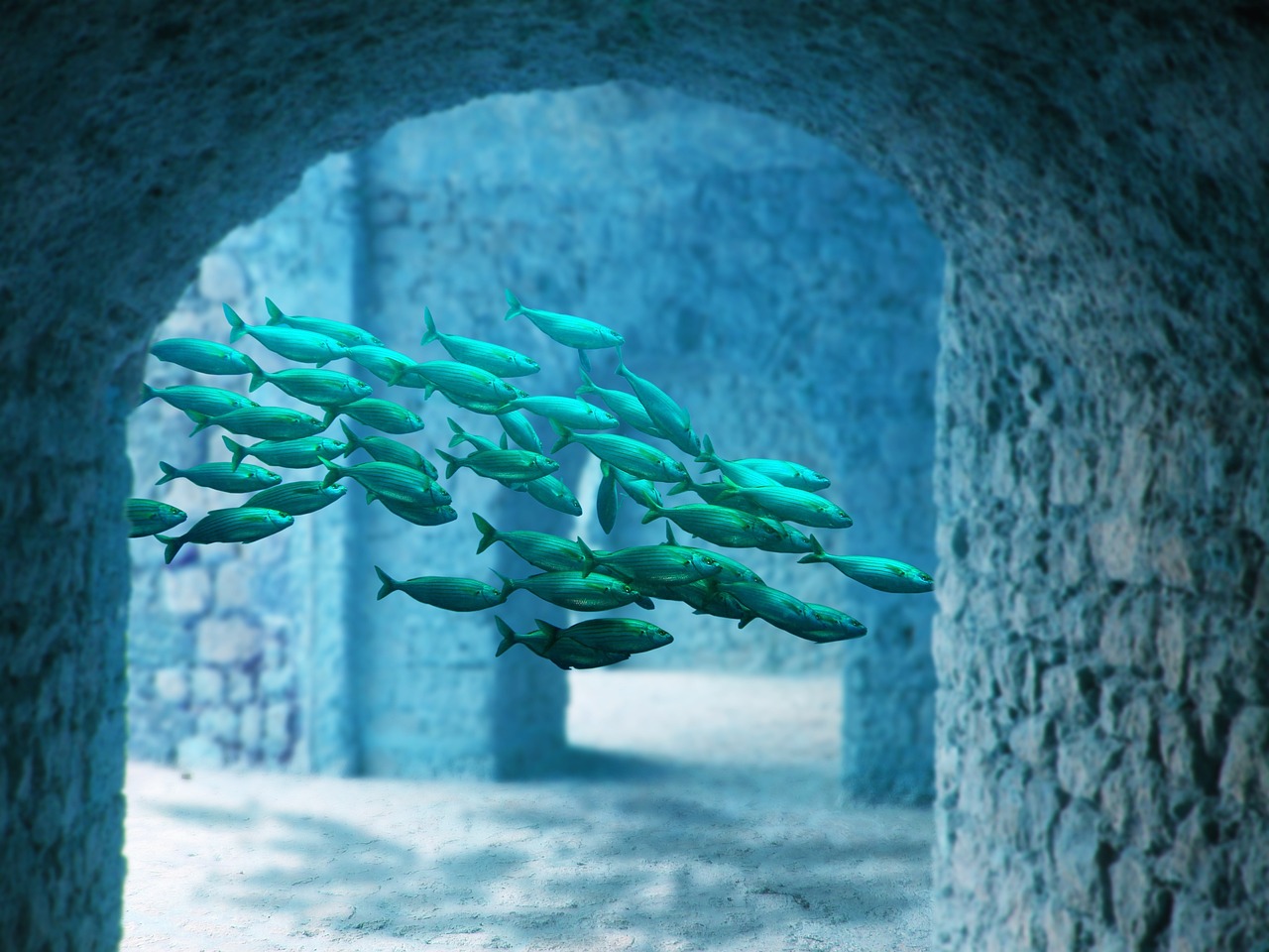 探索海洋世界的新紀(jì)元，真人捕魚最新版