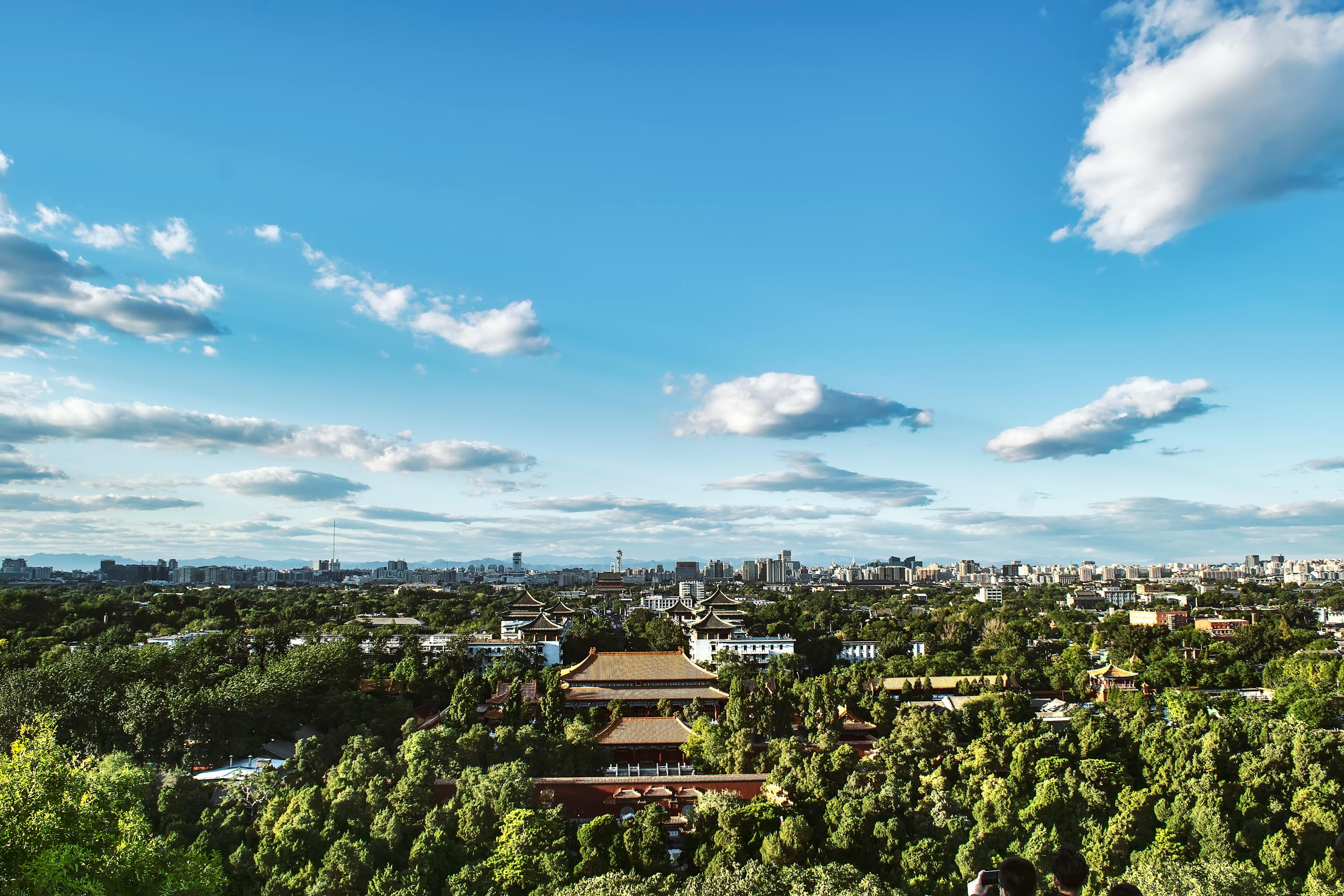 許家印最新動(dòng)態(tài)，風(fēng)雨后的堅(jiān)韌前行與持續(xù)奮斗之路