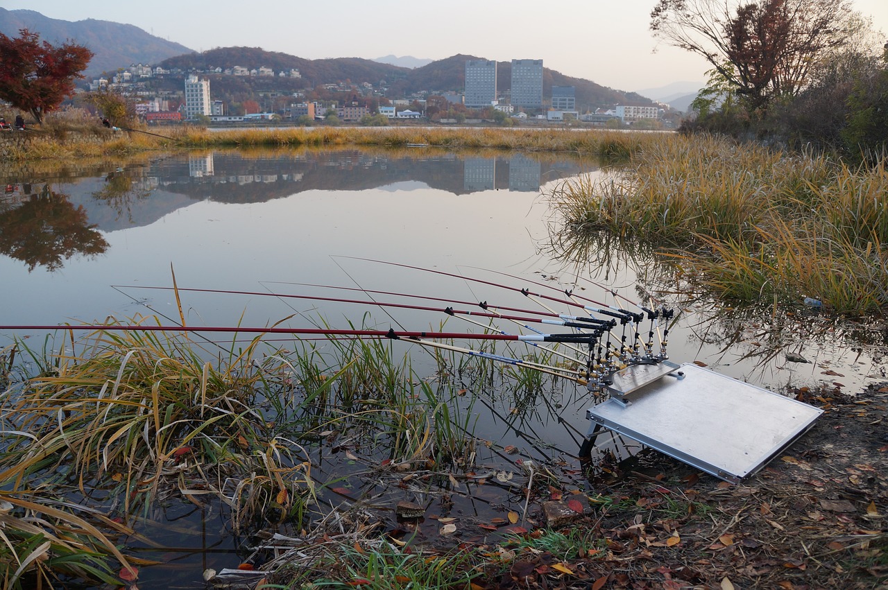紅鯉魚浴場最新價格概覽與解析