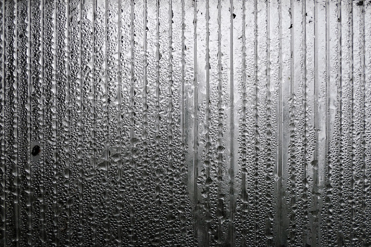 石家莊暴雨預(yù)警更新，如何應(yīng)對(duì)暴雨天氣及其影響