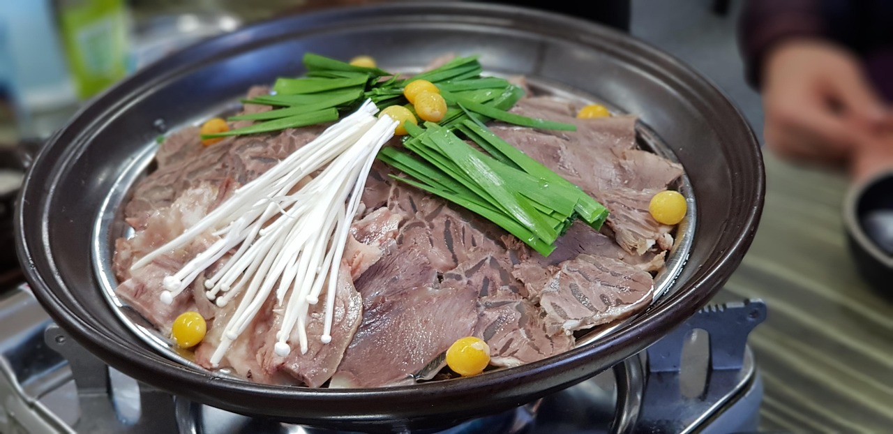 艾波吃播最新動態(tài)，美食之旅再掀新篇章