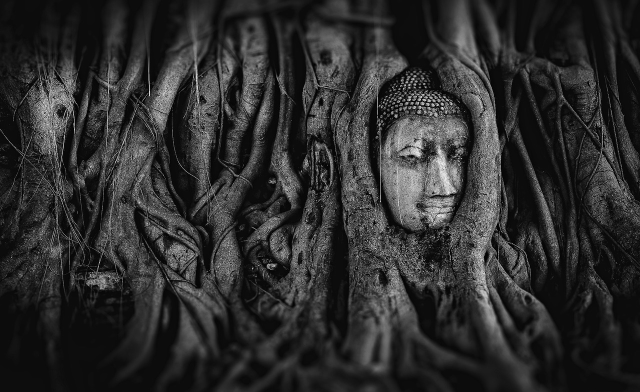 探索神秘世界的奇幻之旅，最新劍魂大陸揭秘