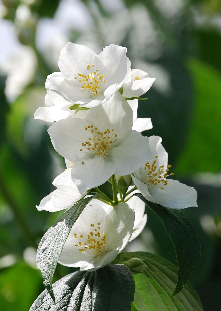 揭秘四月怪形動(dòng)態(tài)，探尋不同尋常現(xiàn)象背后的秘密