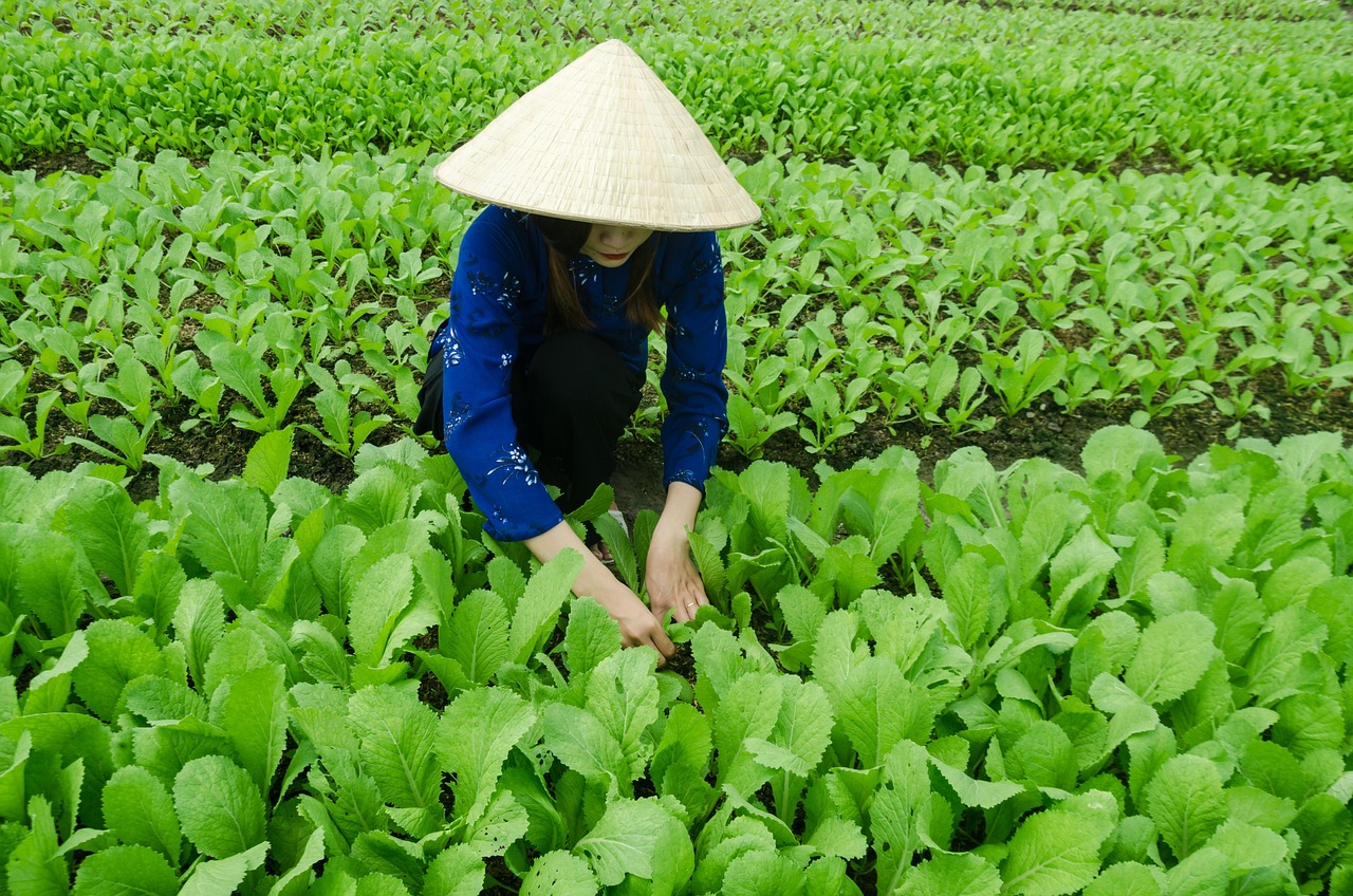 南鋼六村拆遷最新動態(tài)揭秘，進(jìn)展與挑戰(zhàn)深度解讀