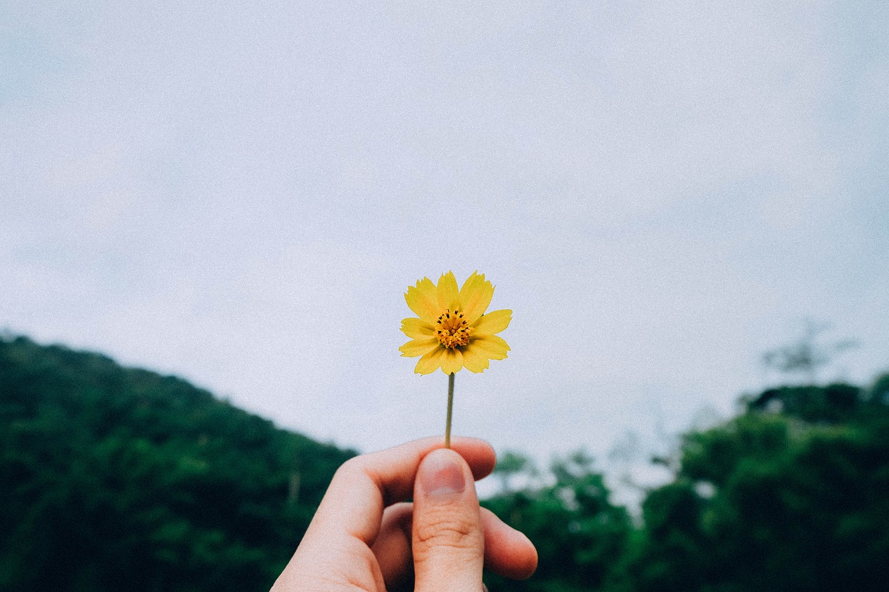 四月三行情書，獻給我的學(xué)校