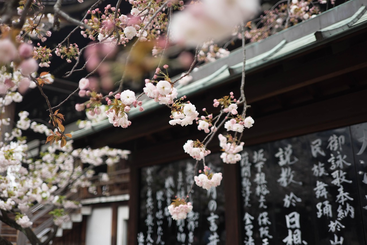 五月日本種子最新發(fā)布，探索未來(lái)植物科技的新篇章
