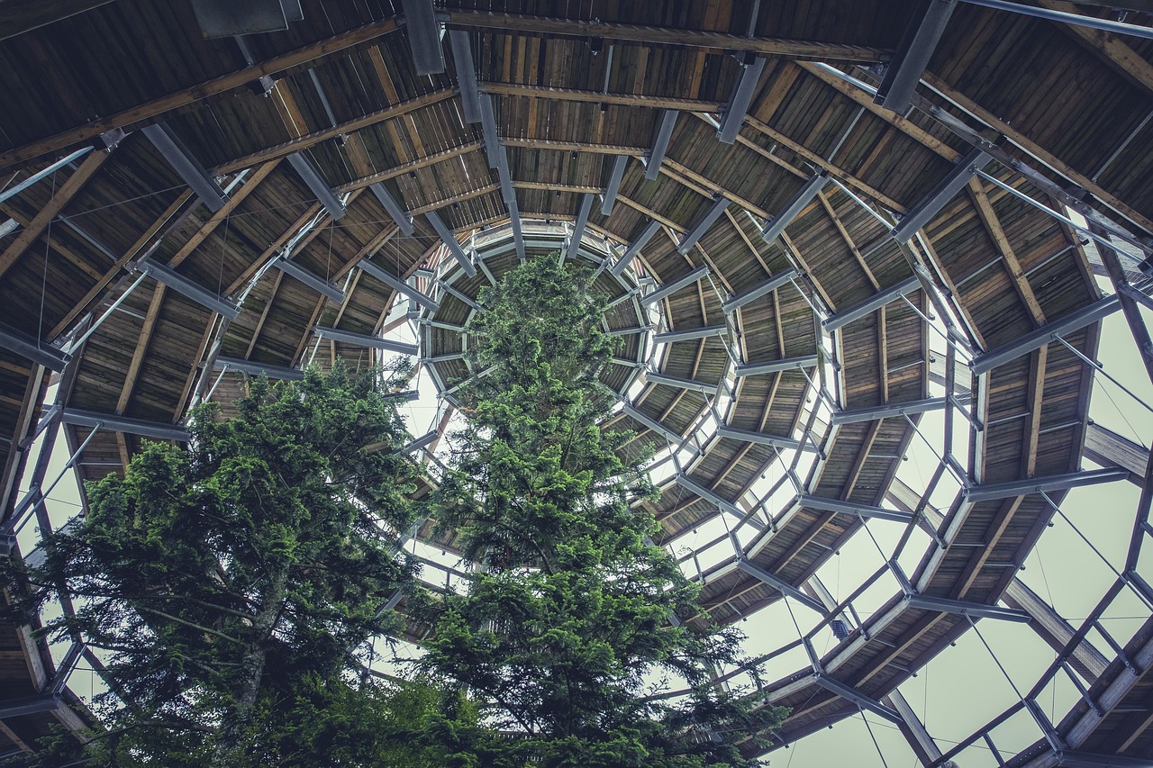 五月新型住宅設(shè)計展望，探索未來生活空間的創(chuàng)新之路