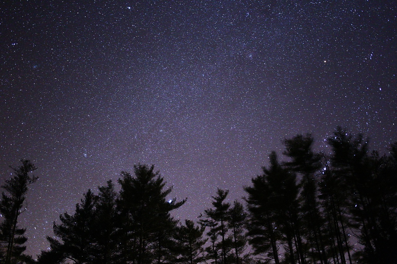 五月明星璀璨之夜，溫馨祝福視頻盛宴